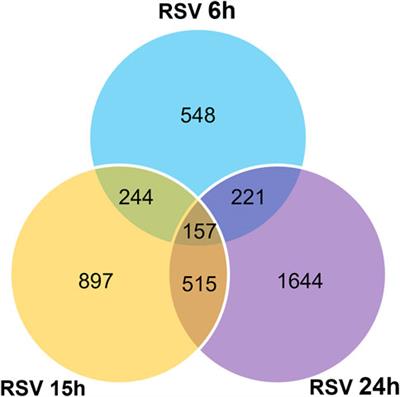 Respiratory syncytial virus infection changes the piwi-interacting RNA content of airway epithelial cells